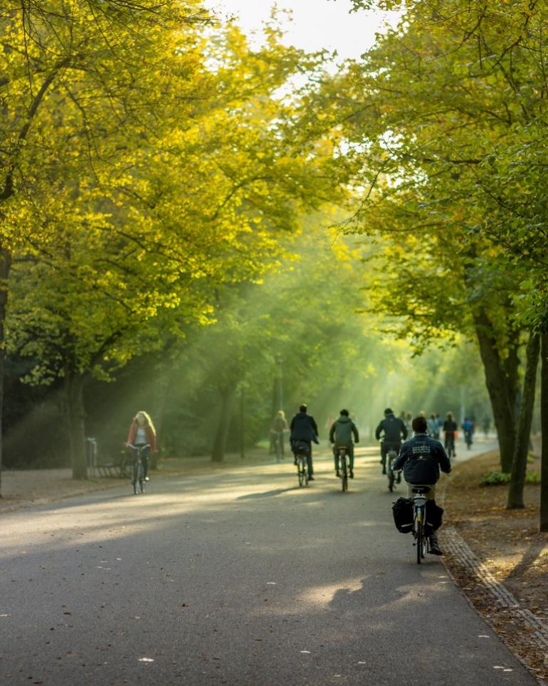 Vondelpark GettyImages 512285327